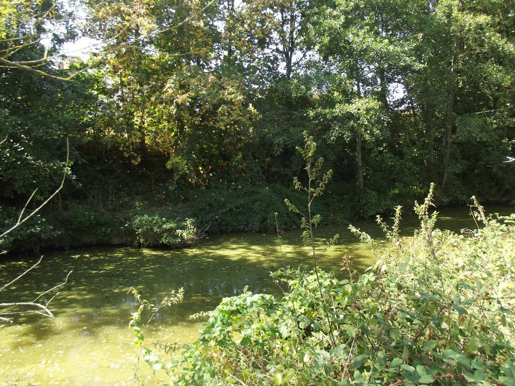Le Nid Du Parc Villars-les-Dombes